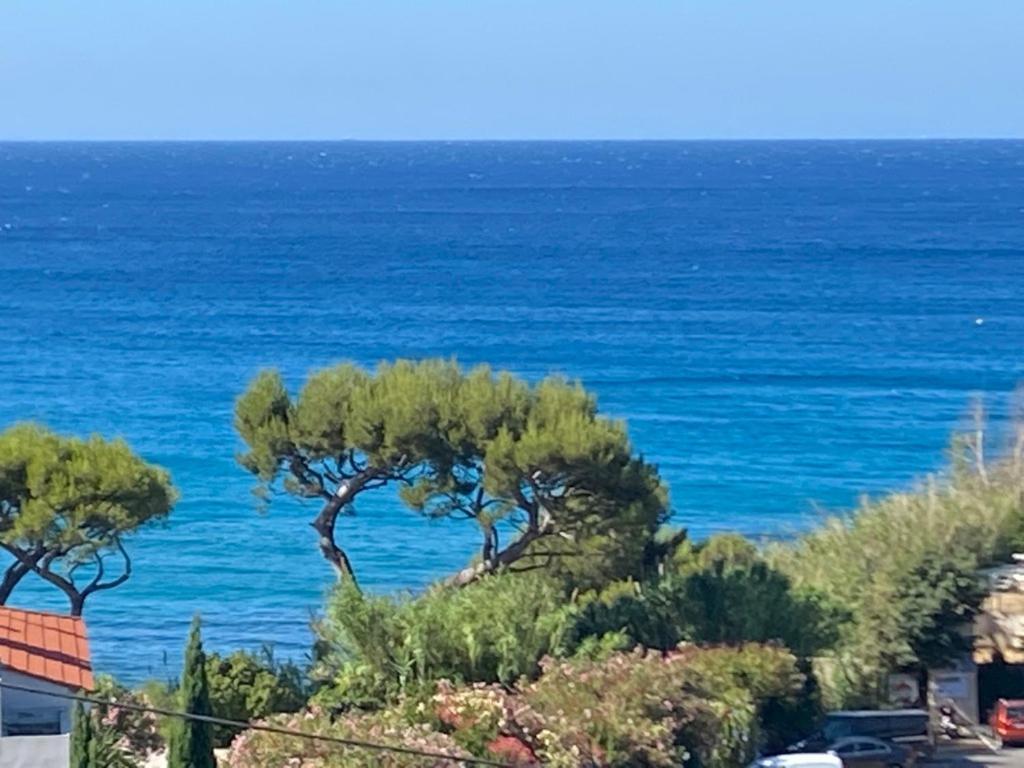Appartement Face à La Mer, Et Son Cap Canaille *
